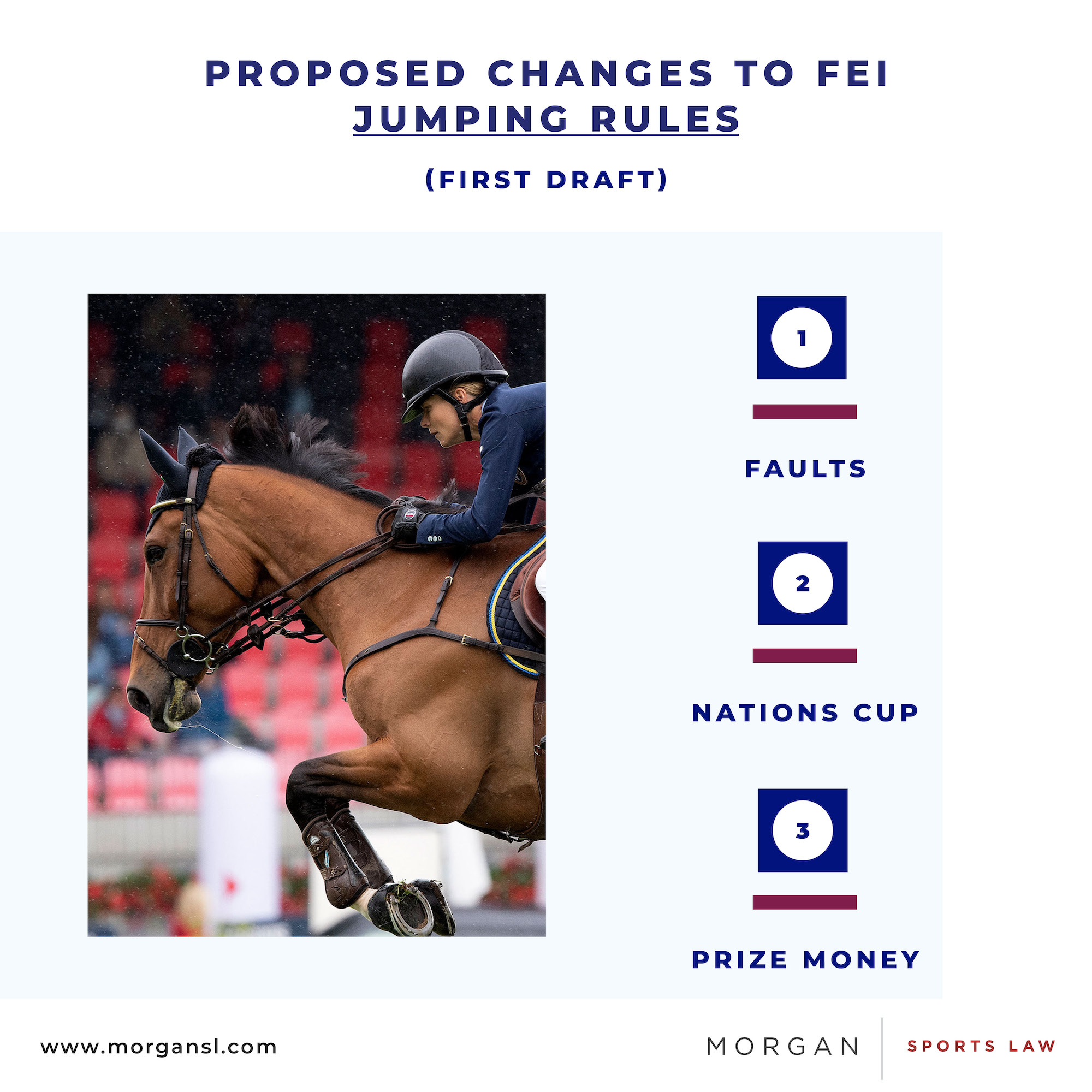 FEI rules what changes might we see in 2024? Sports Law